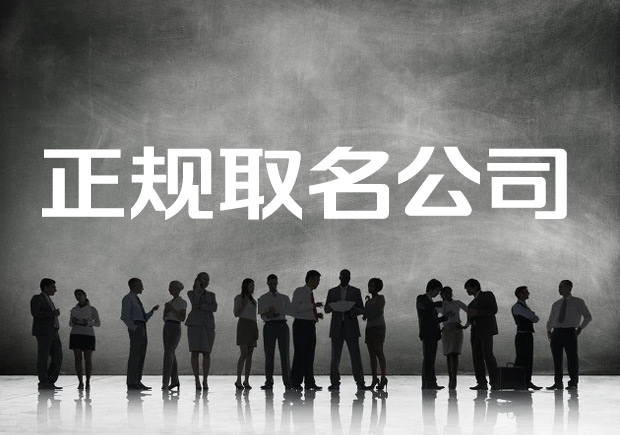 正規取名公司-專業的取名字網站是怎樣的-探鳴起名網.jpeg