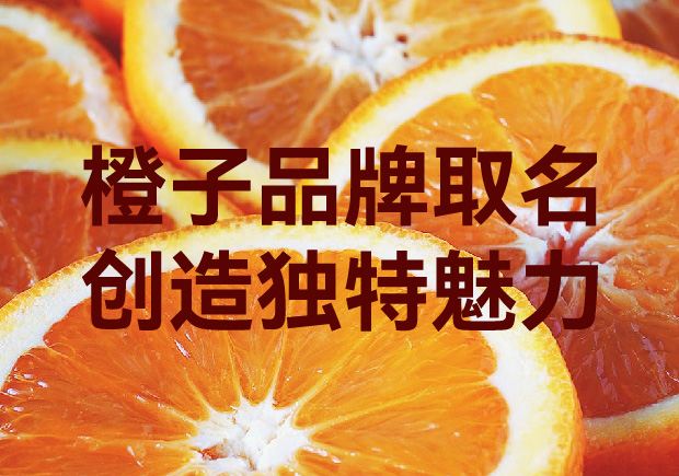 獨步橙海：橙子品牌取名創意塑造獨一無二的魅力