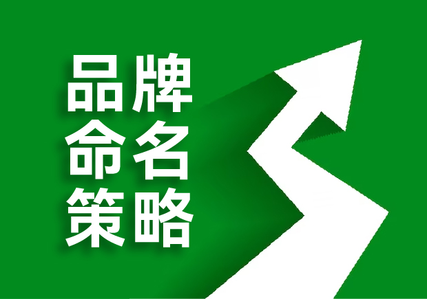 品牌命名的策略是什么，核心原則是這六點！
