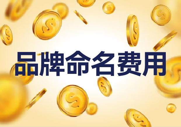 國內外品牌命名費用是多少？