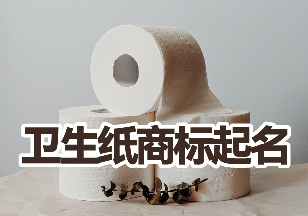 衛生紙商標起名的藝術：尋找品牌個性與傳承