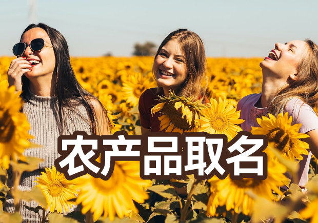 高端農產品品牌取名：從自然靈感到市場辨識的奇妙旅程